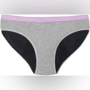 Thinx BTWN bikini underwear